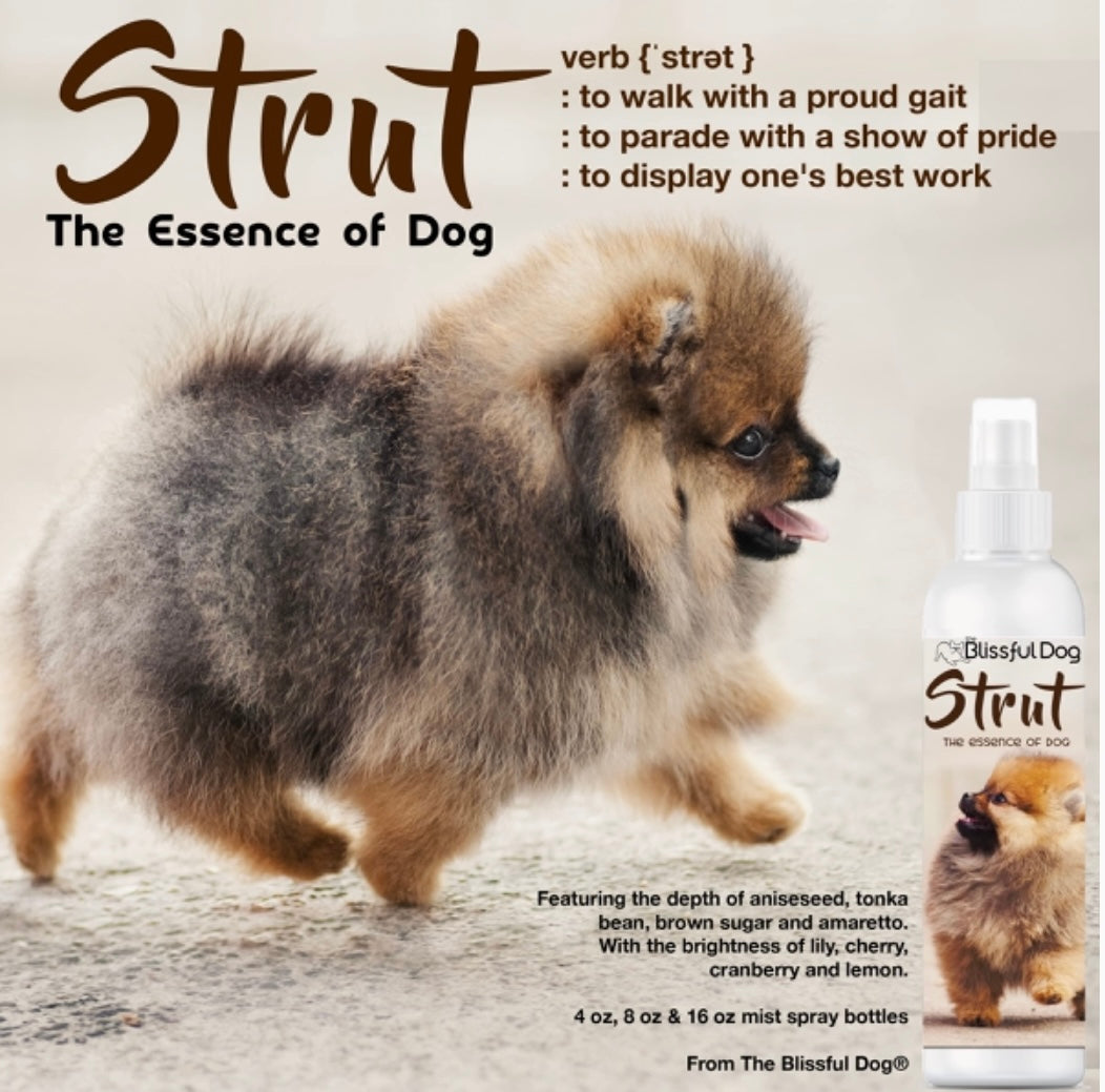 Spray cologne for dogs