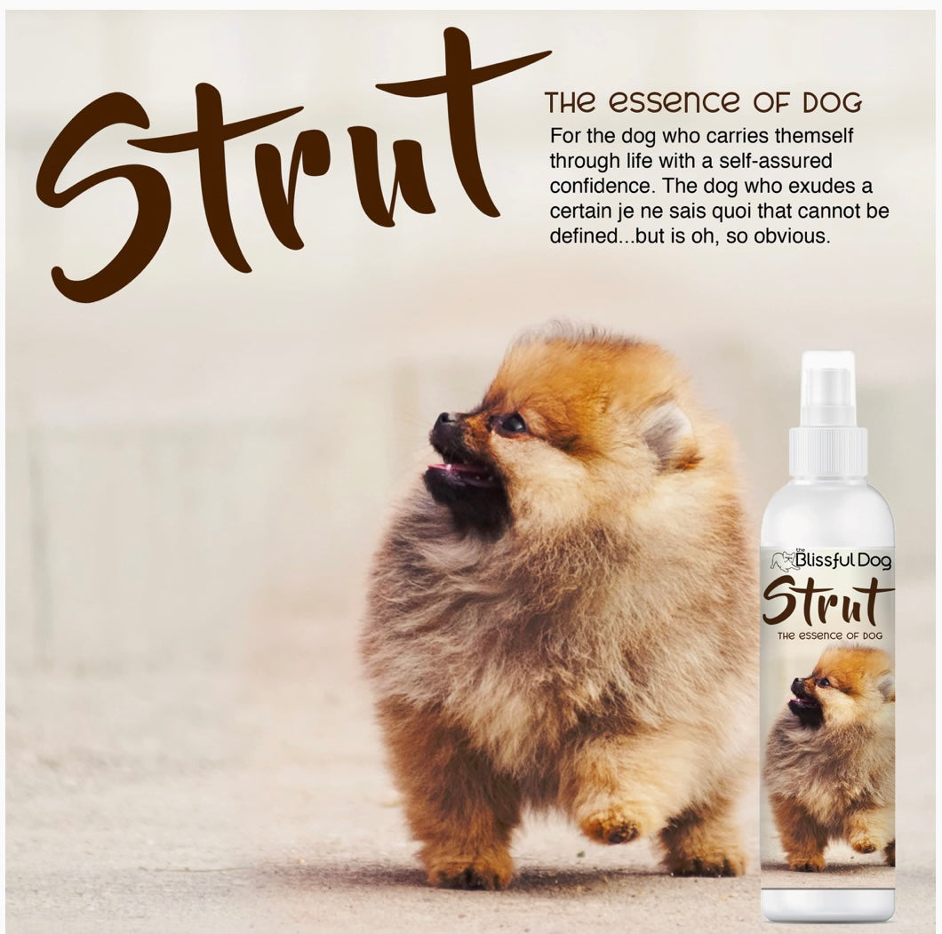 Strut cologne for Pets